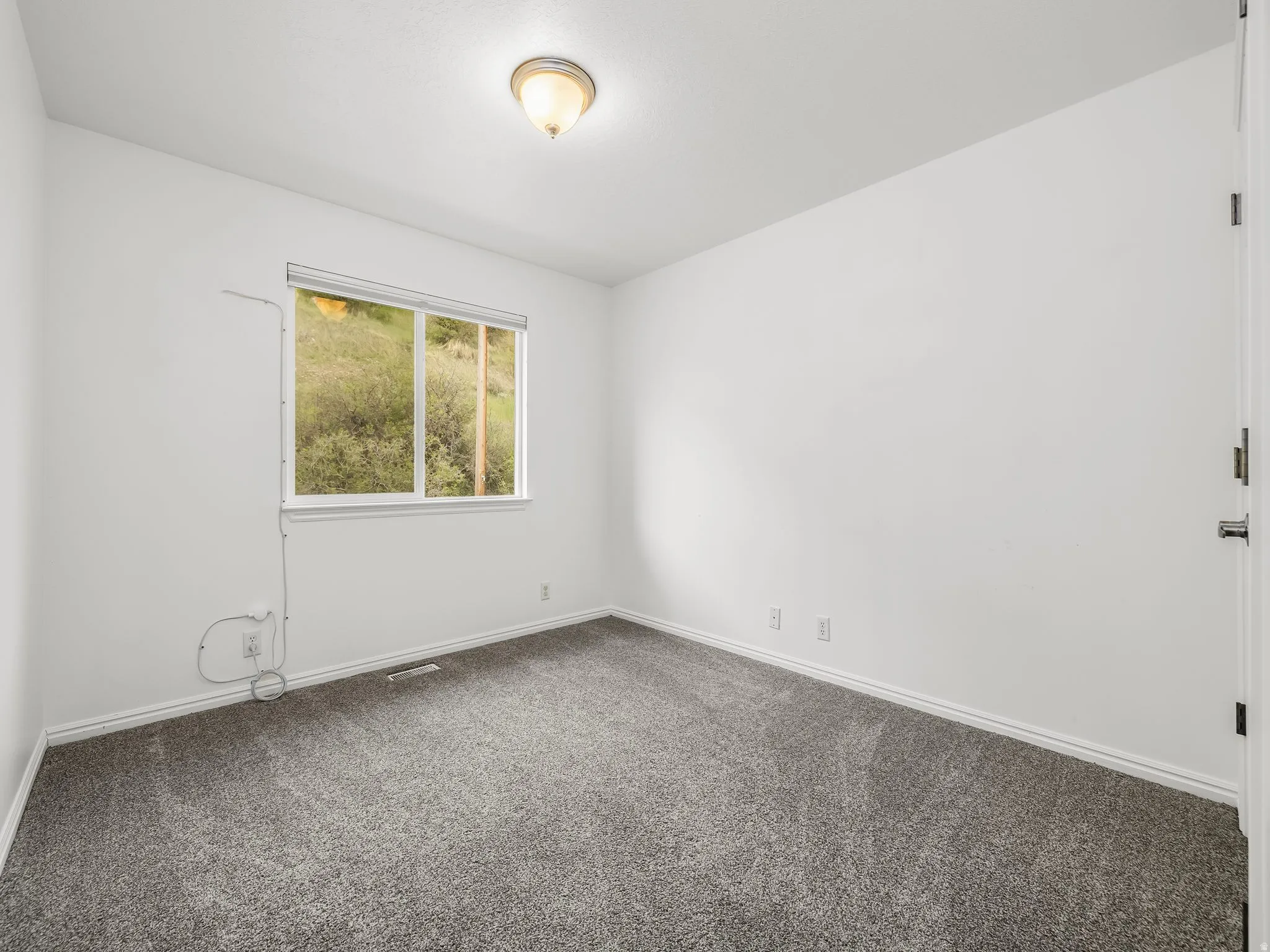 Neutral-toned room featuring a large window, plush gray carpeting, white walls, and a ceiling-mounted light fixture