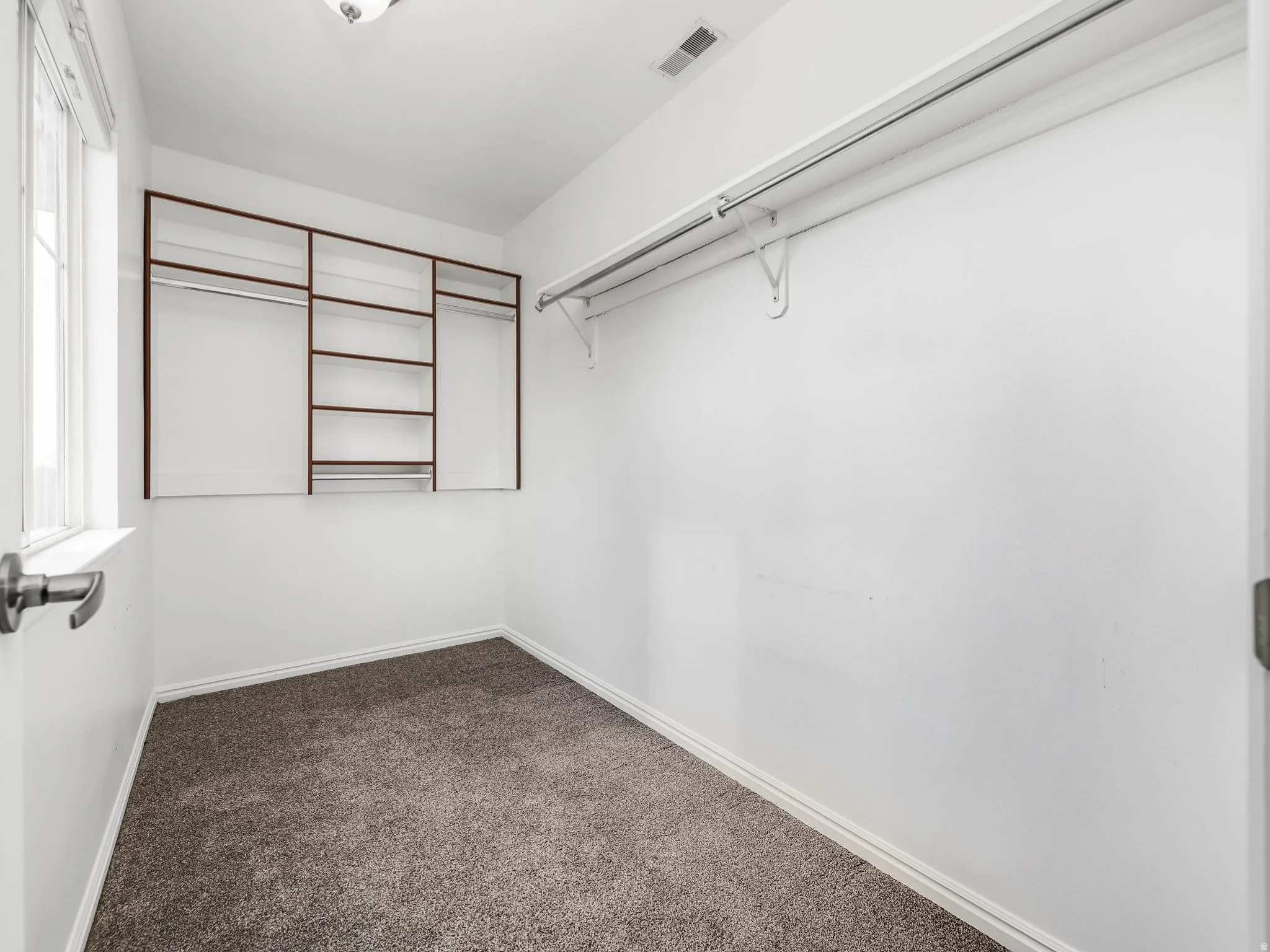 Walk-in closet featuring carpet flooring, built-in shelving, two clothing rods, and a window for natural light