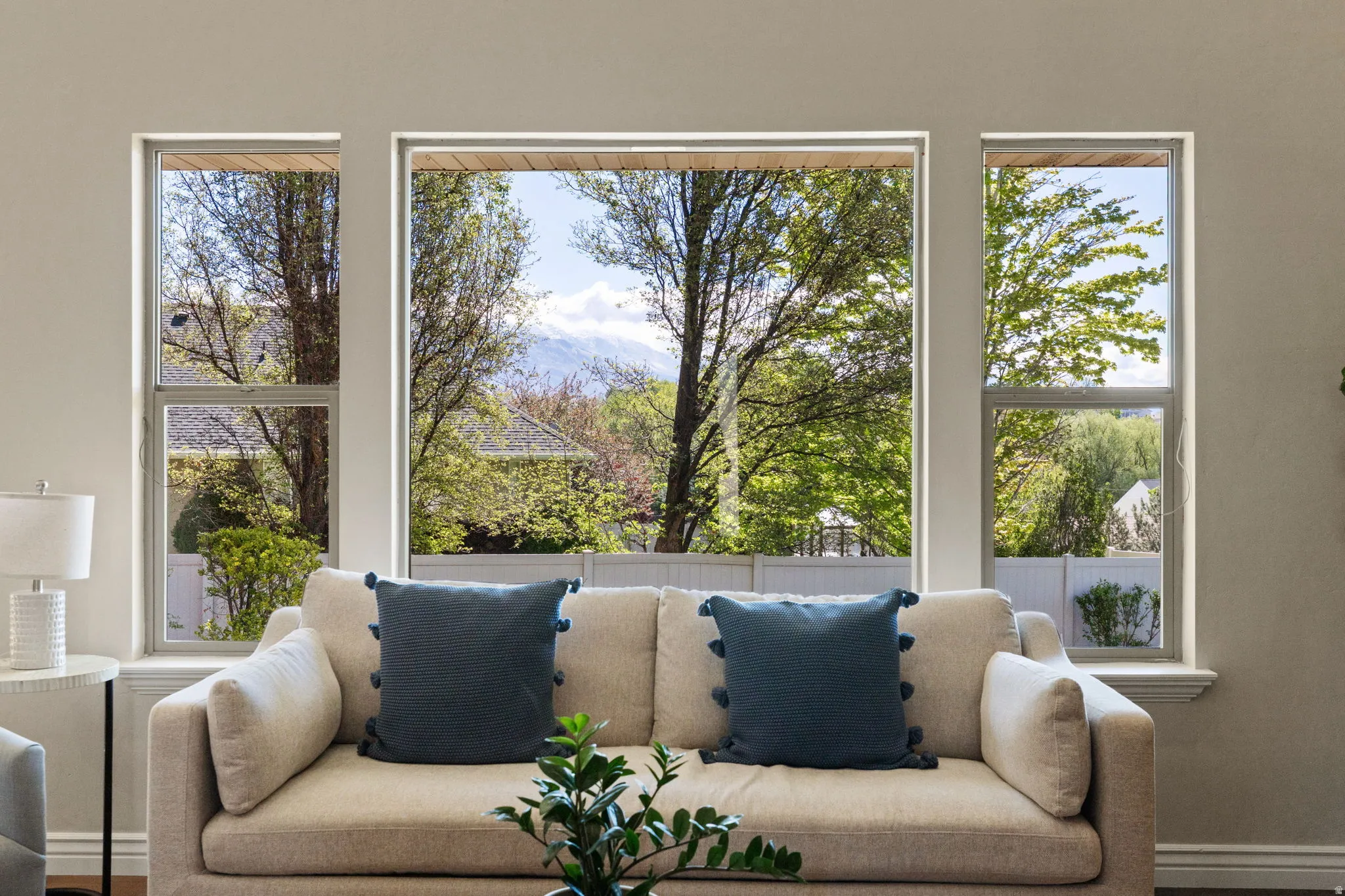 Beautiful views from Livingroom and kitchen.