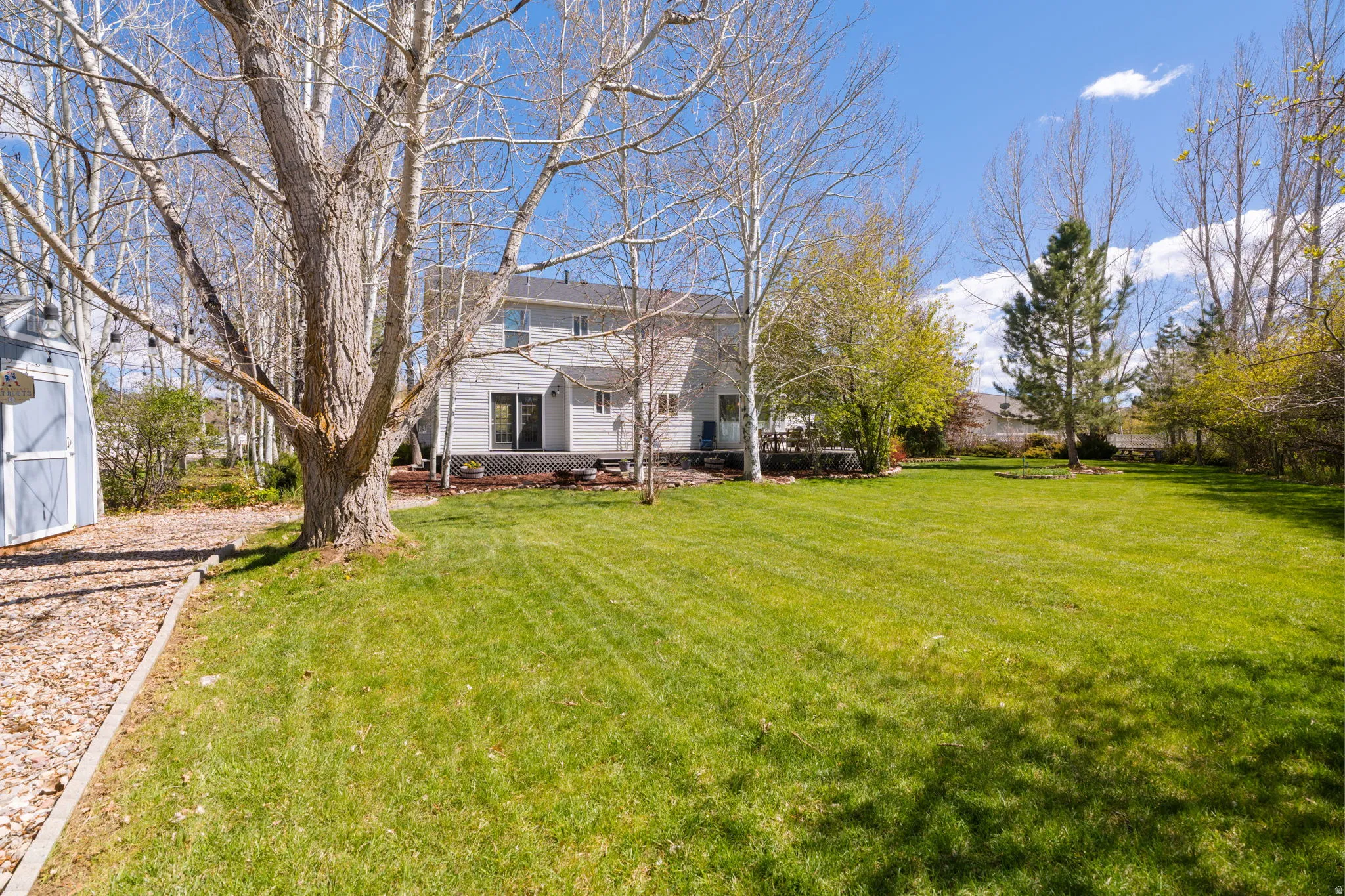 Spacious backyard featuring a large grassy area, mature trees, and a light gray shed