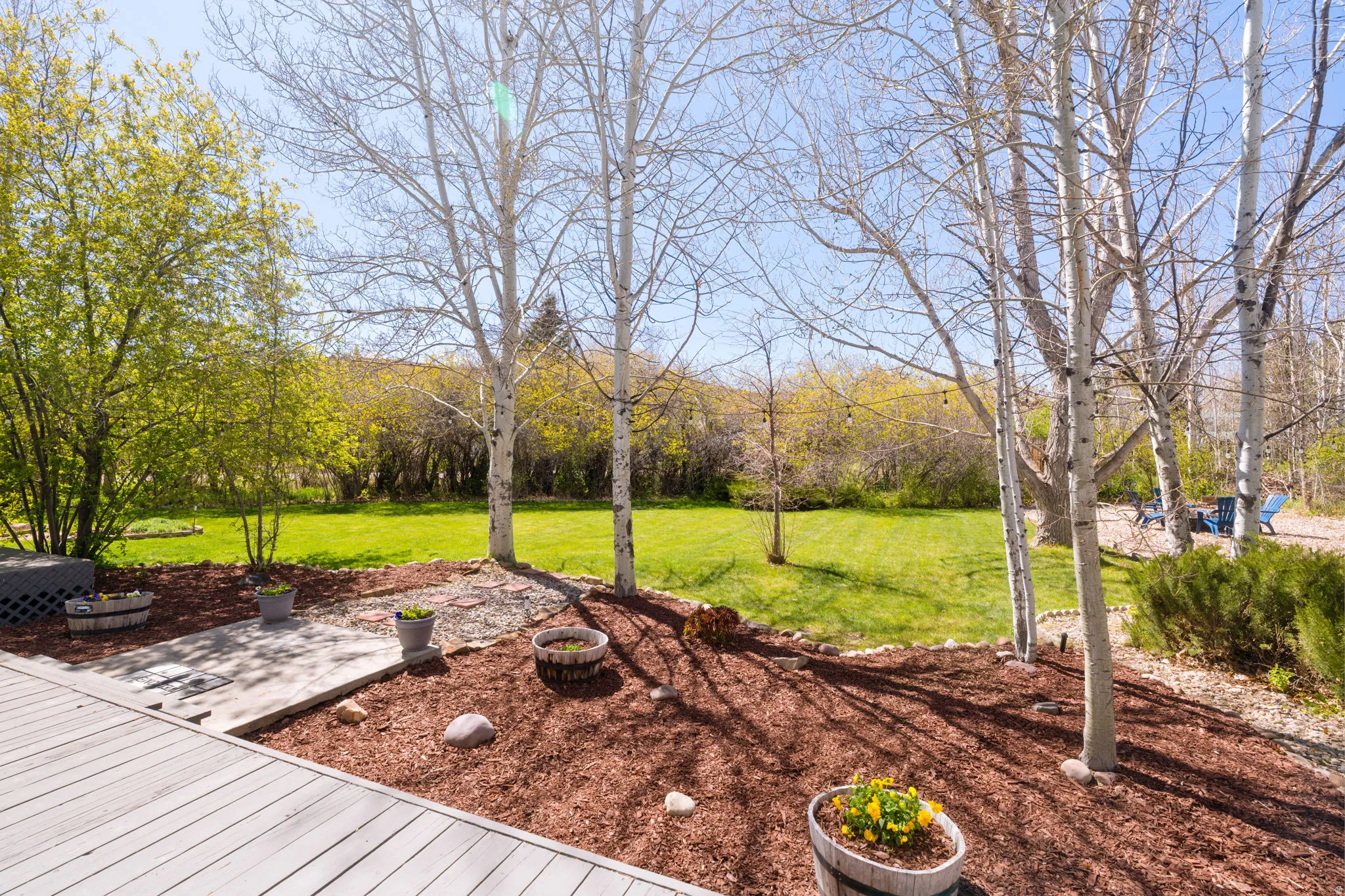 Spacious backyard featuring a light-colored wood deck and a vibrant green lawn