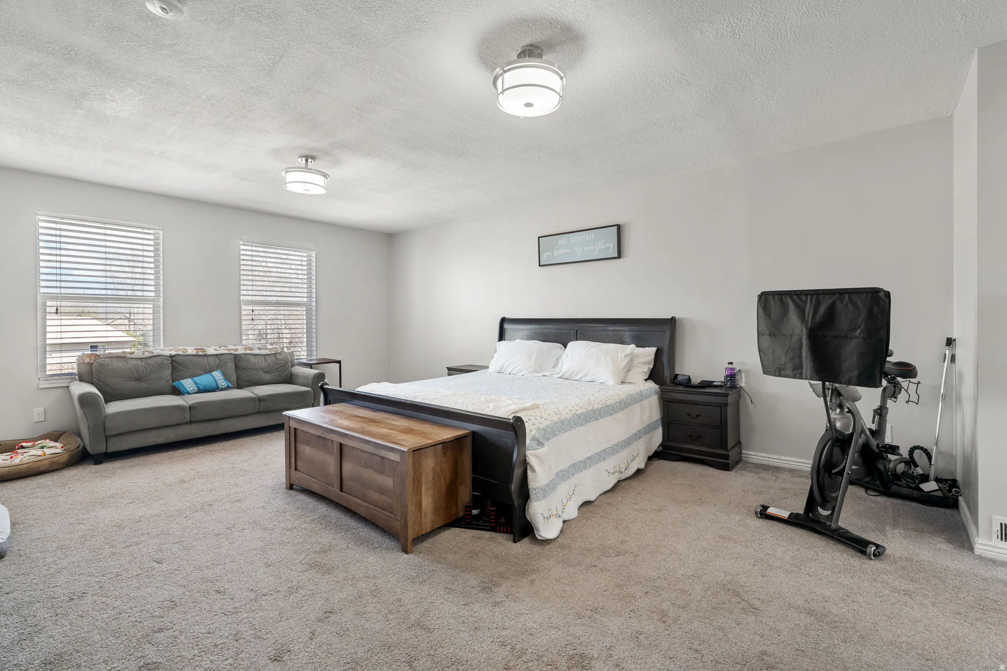 Carpeted room featuring two windows with blinds, a dark wood-finish bed frame, two flush-mount ceiling lights, and light gray walls