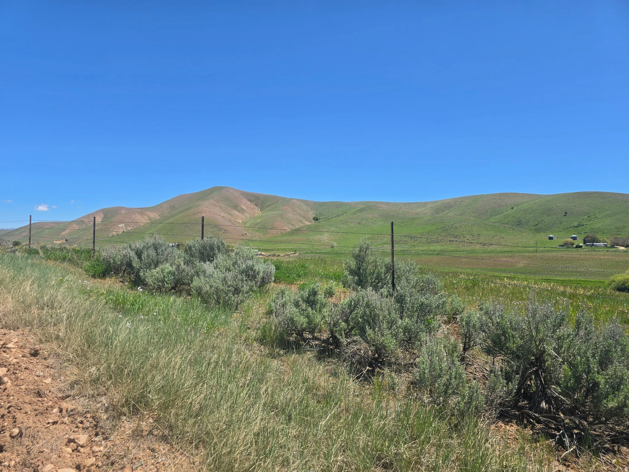 Expansive natural landscape featuring rolling green hills, a large open field, scattered sagebrush, and a clear blue sky