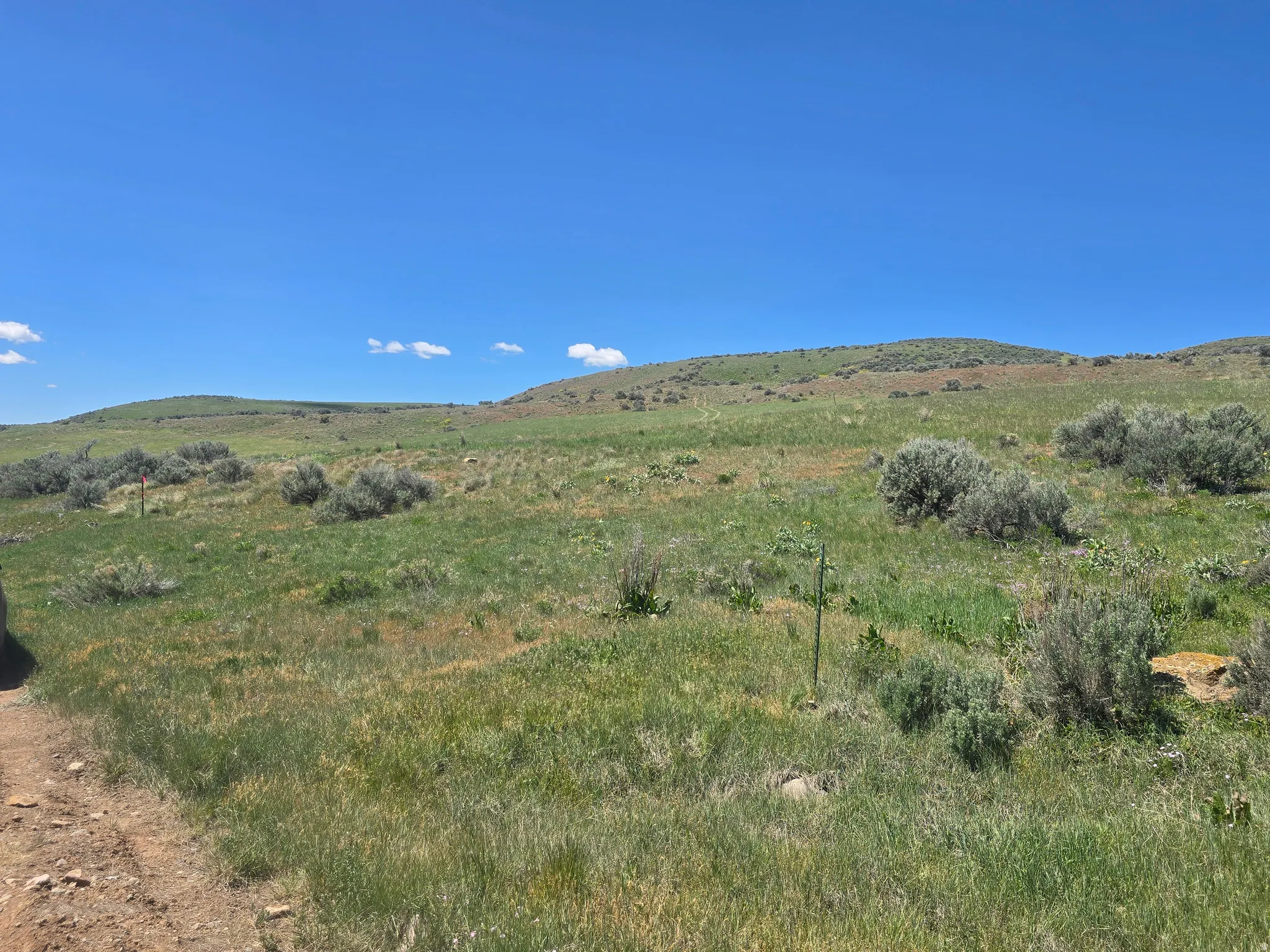 Expansive undeveloped acreage featuring natural vegetation and rolling hills