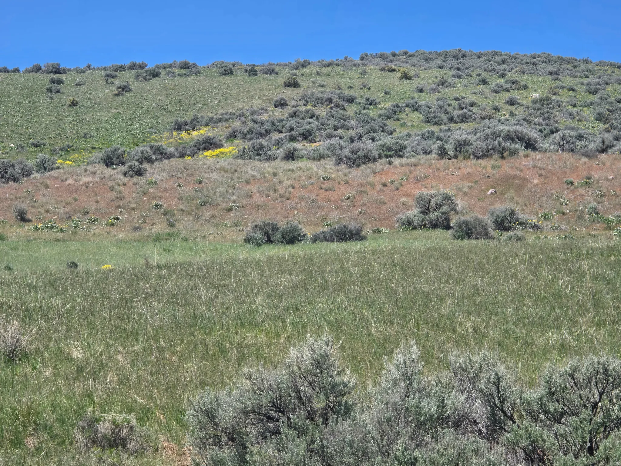 Expansive landscape featuring rolling hills, natural vegetation, and a clear blue sky