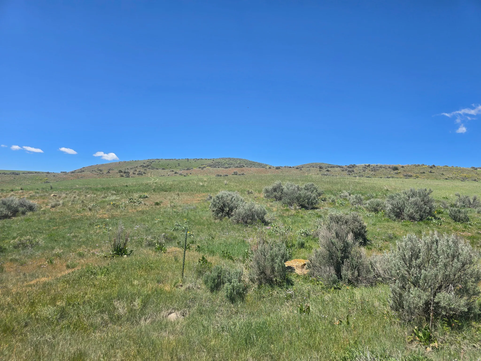 Expansive open landscape with rolling hills, natural vegetation, and a clear blue sky