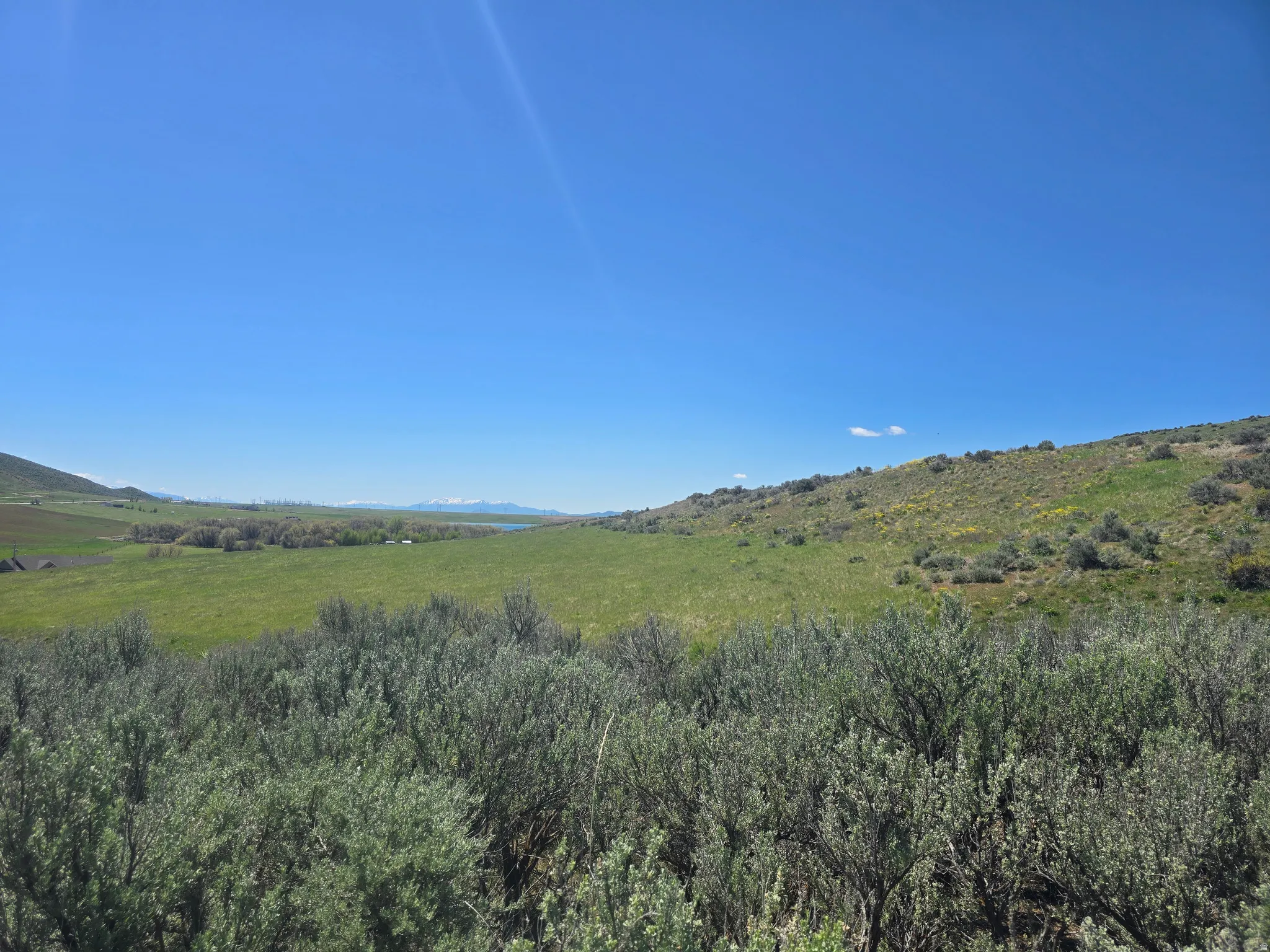 Expansive natural landscape featuring rolling green hills and distant snow-capped mountains under a clear sky