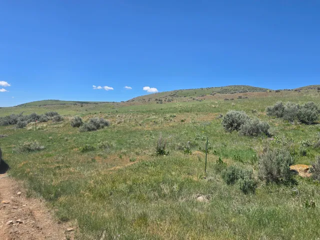 Expansive undeveloped acreage featuring natural vegetation and rolling hills