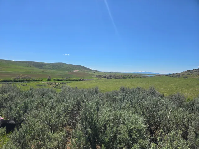Expansive green landscape with rolling hills and a distant body of water