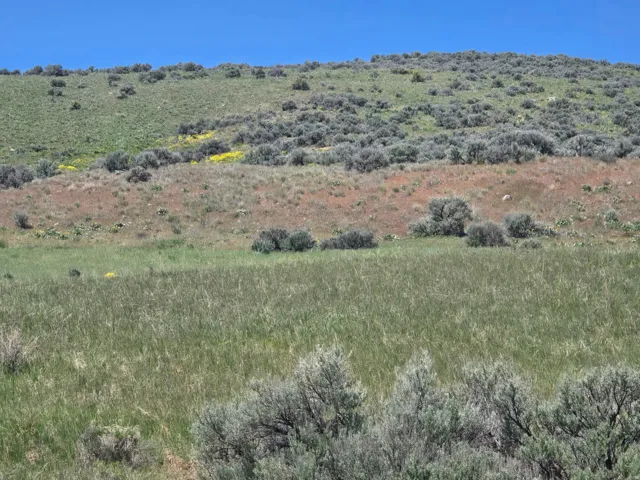Expansive landscape featuring rolling hills, natural vegetation, and a clear blue sky