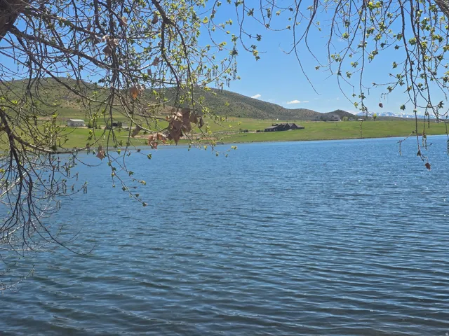 Expansive body of water with rippling surface, framed by natural tree branches