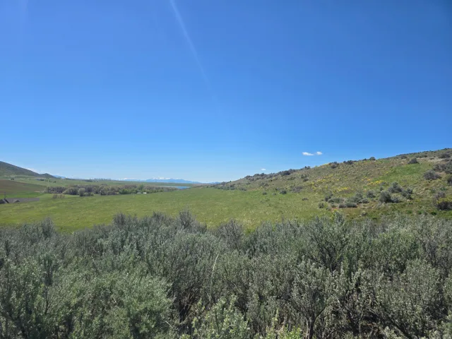 Expansive natural landscape featuring rolling green hills and distant snow-capped mountains under a clear sky