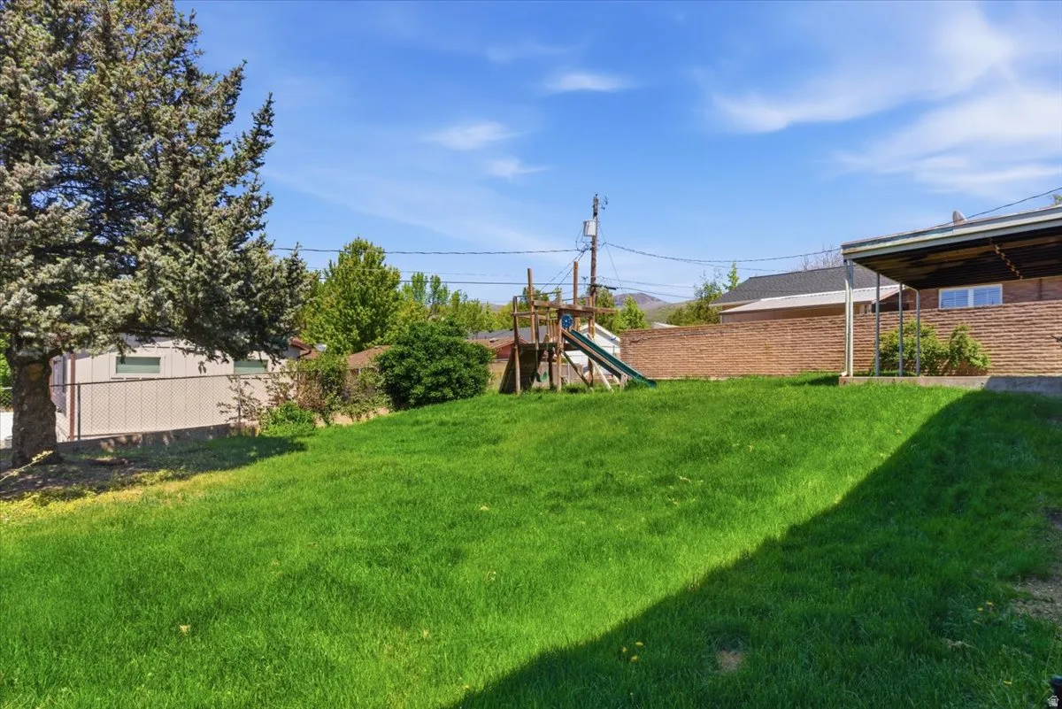 Expansive backyard featuring a large grassy area, a mature evergreen tree, and a covered patio structure