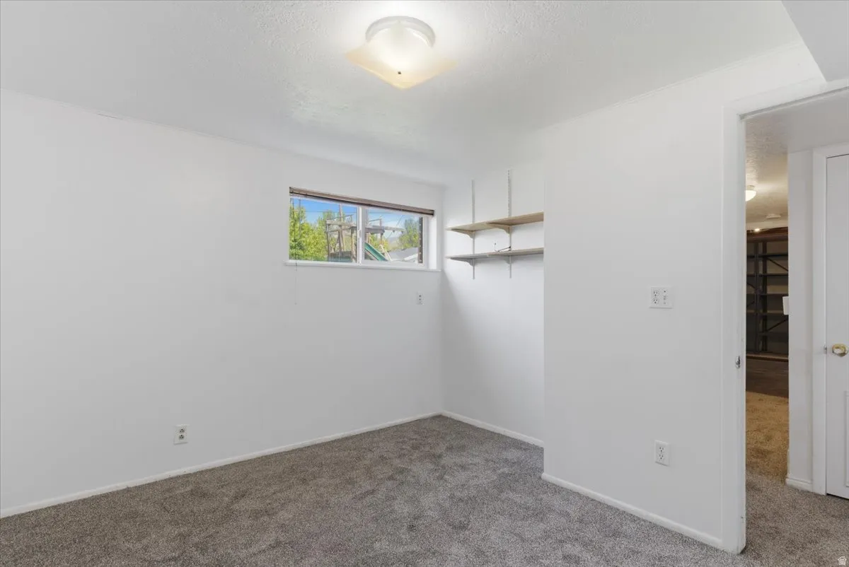 Room featuring light grey carpet flooring, white painted walls, a window with exterior views, and wall-mounted shelving