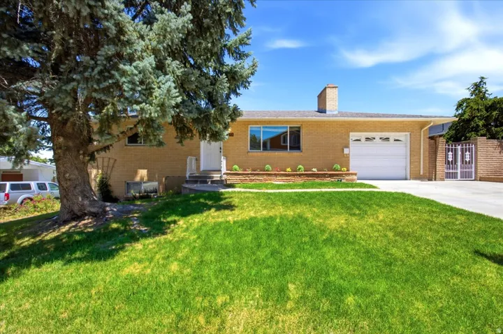 Brick exterior with a prominent front lawn, a mature evergreen tree, an attached garage, a front entry with steps, and a decorative garden bed