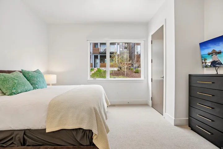 Room featuring a large window, light-colored carpeting, white walls, and a modern flat-panel door