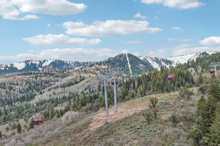 Mountain landscape featuring snow-capped peaks, dense evergreen forests, and a gondola system with red cabins