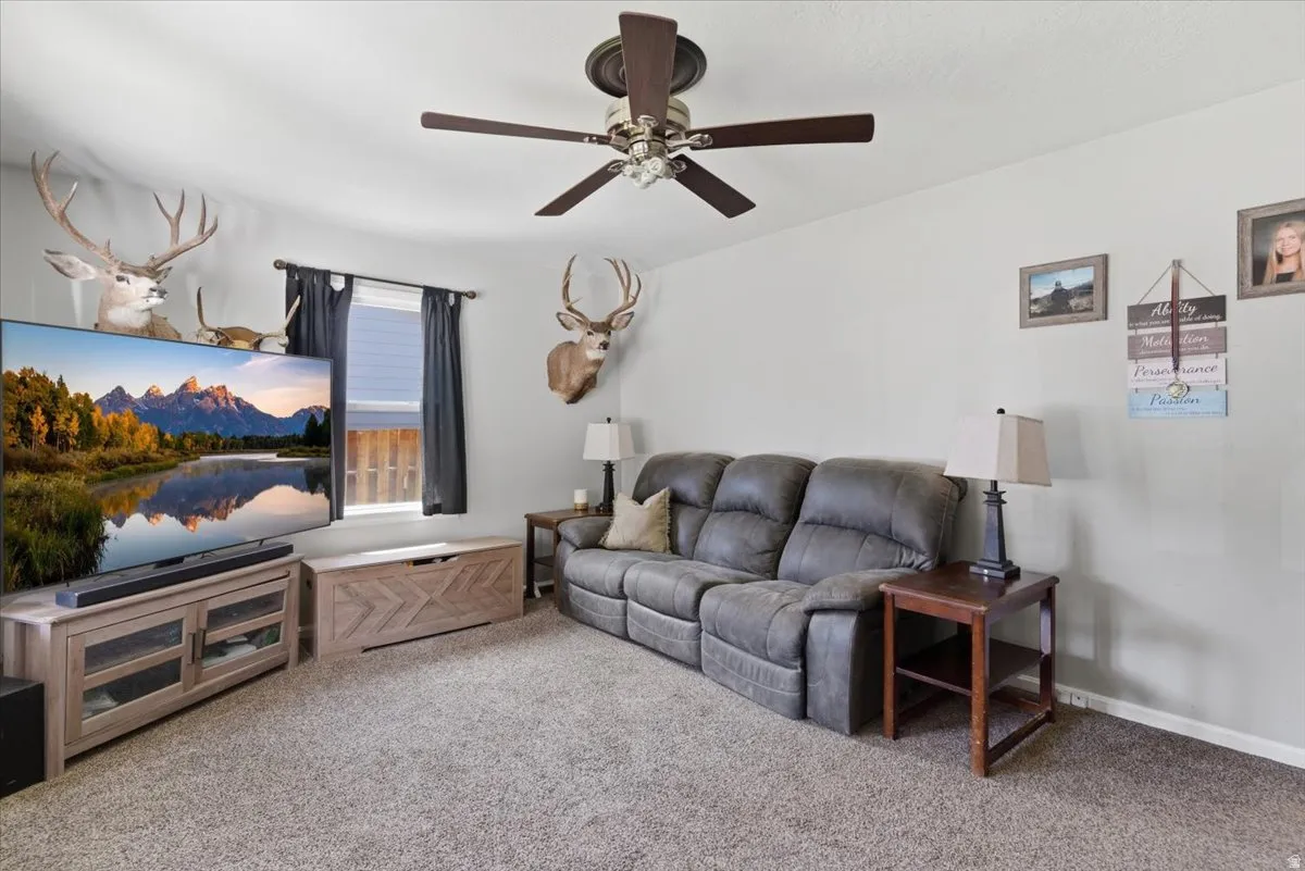 Carpeted living area featuring a ceiling fan with light, a window with dark drapes, and light gray walls