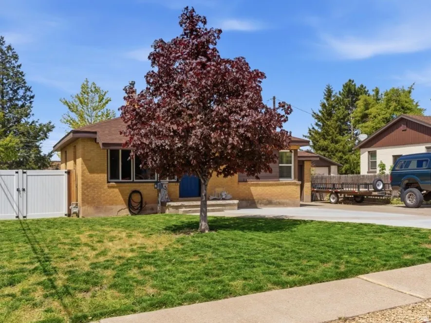 Bungalow-style residence featuring a yellow brick exterior, a dark brown roof, and a prominent burgundy-leafed tree in the front yard