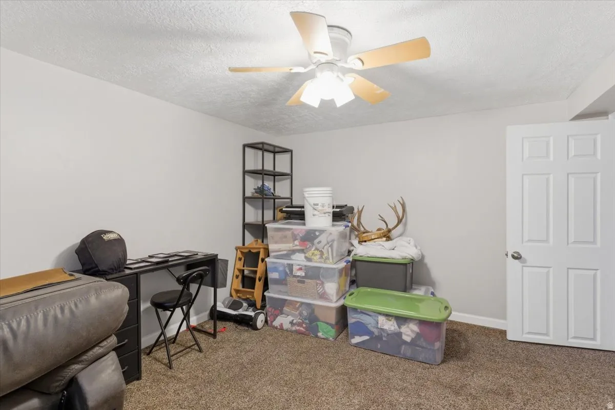 Carpeted room featuring a ceiling fan, light gray wall paint, and a six-panel interior door