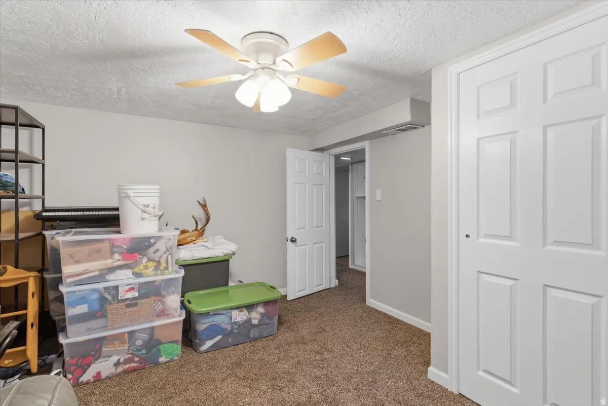 Carpeted room with a ceiling fan, white paneled doors, and light gray walls