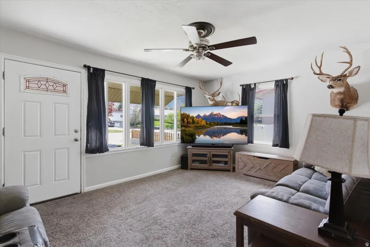 Living area featuring carpeted flooring and light grey wall paint