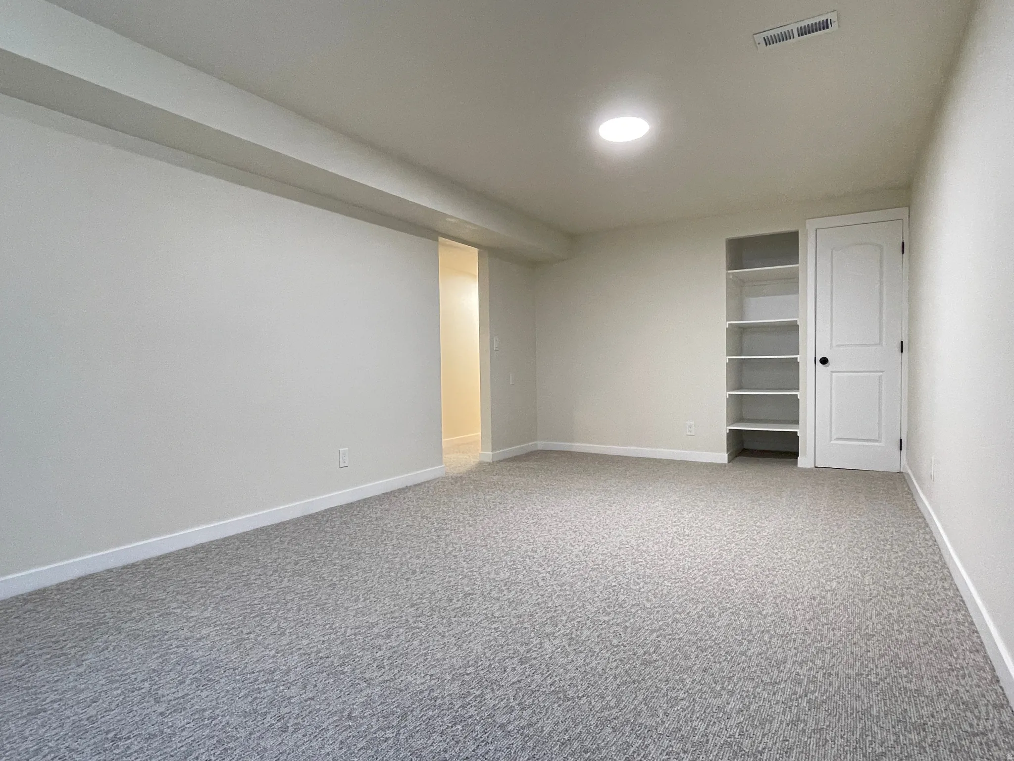 another angle of the family room.  Built in shelving and door hiding the water softner and main water shut off.
