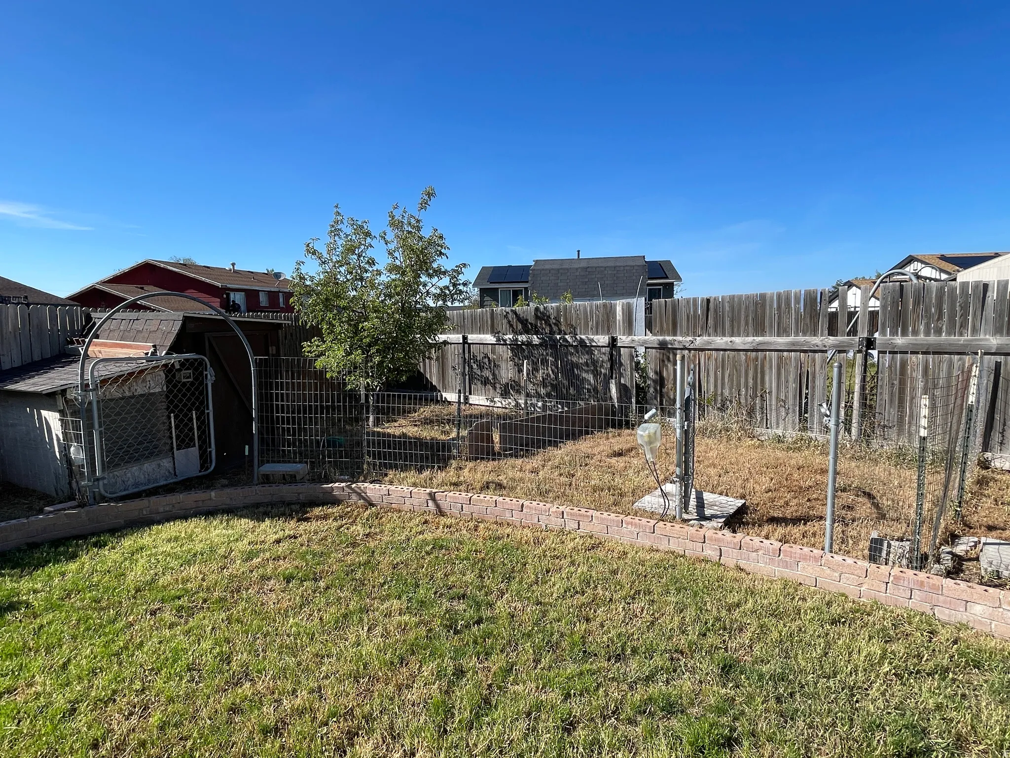 chicken coop and run.