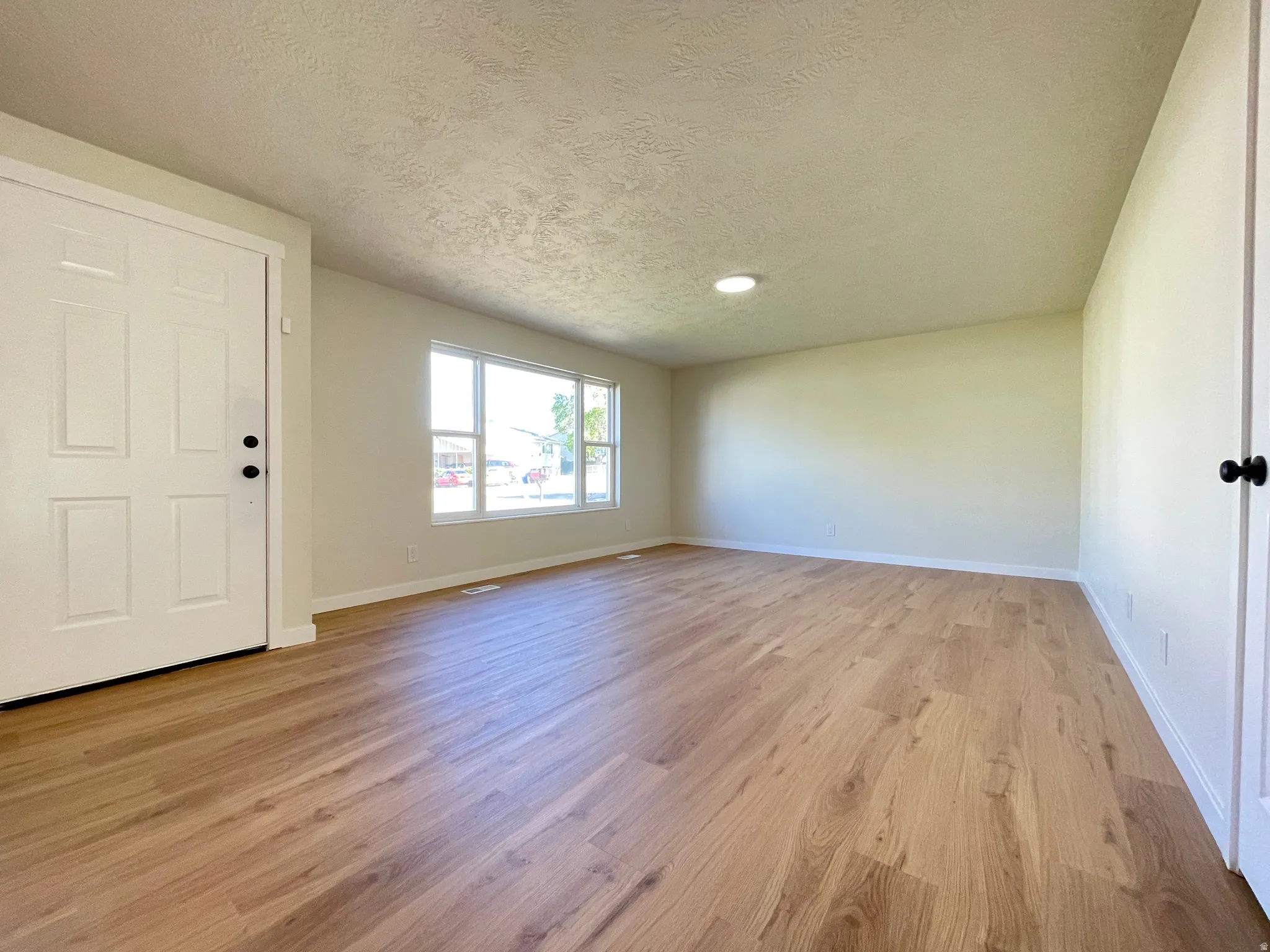 Spacious front living room featuring light wood-finish flooring, a large multi-pane window, and new door black door handle.