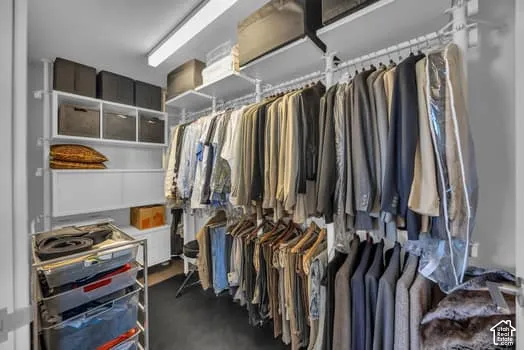 View of walk in closet