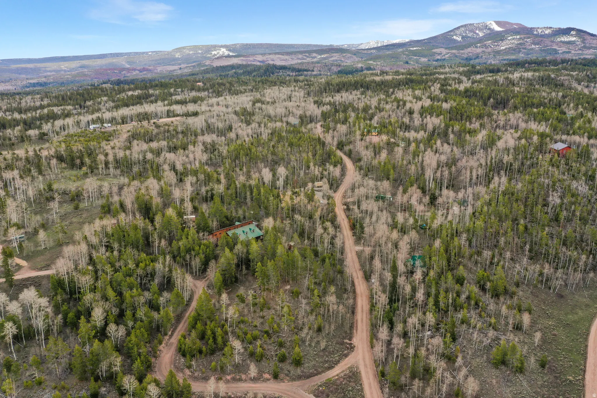 Expansive treed landscape featuring mixed deciduous and coniferous trees, a visible dirt road system, and distant snow-capped mountains