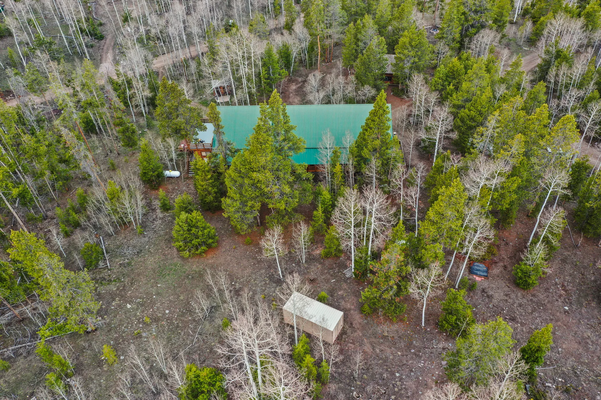 Cabin-style property featuring a green metal roof and wood siding