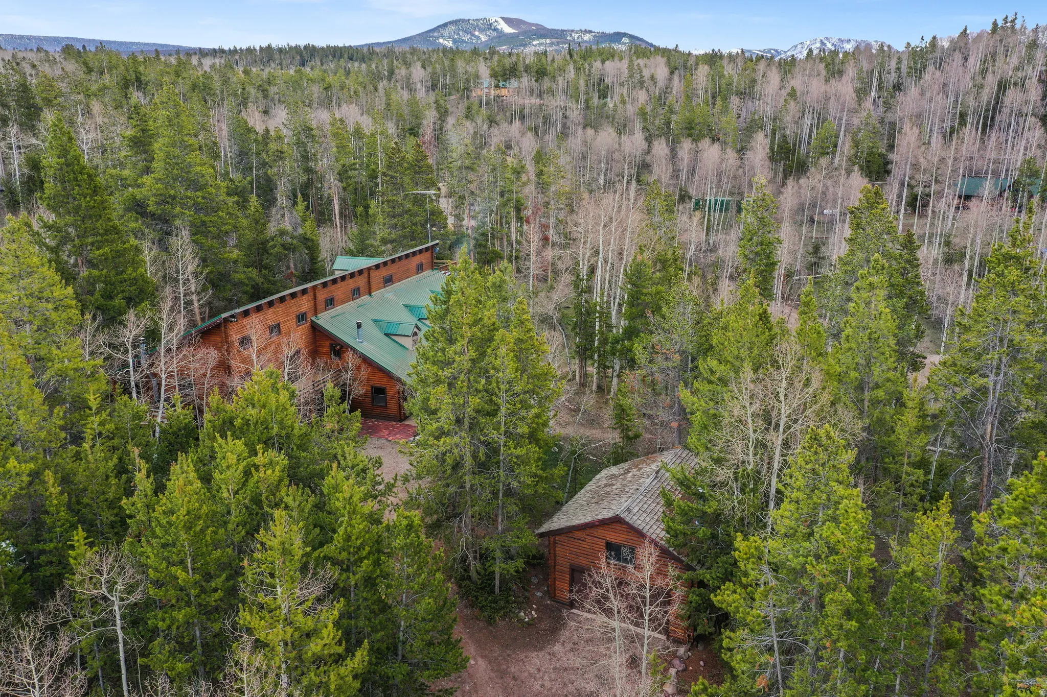 Expansive wooded property featuring two distinct structures with wood siding and green metal roofs, surrounded by mature evergreen and deciduous trees