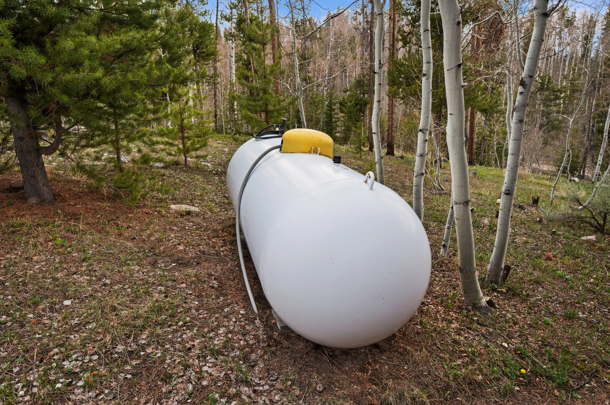 Outdoor propane tank with a yellow cap and black piping, situated among mature evergreen and deciduous trees, with natural ground cover