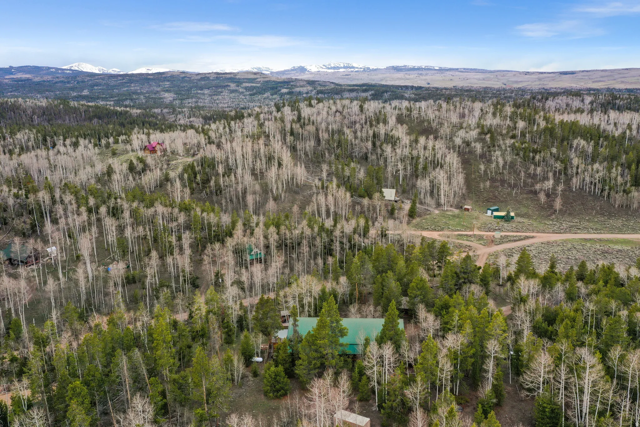 Expansive natural landscape featuring dense evergreen and deciduous trees