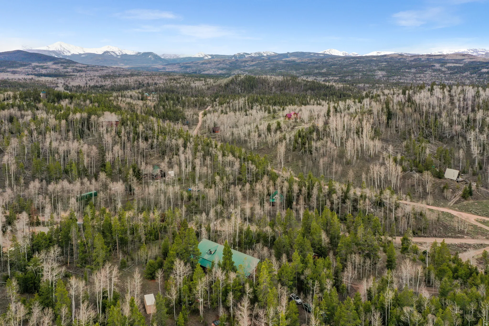 Expansive wooded acreage featuring mixed evergreen and deciduous trees, with a distant snow-capped mountain range providing a scenic backdrop