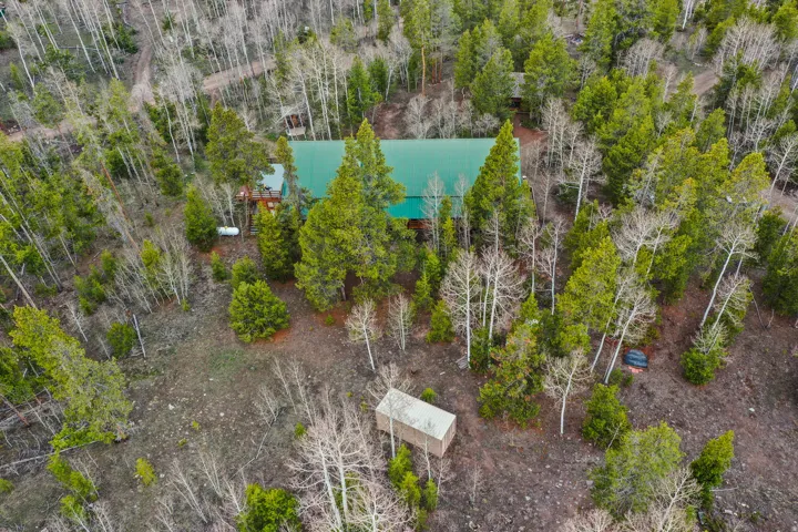 Cabin-style property featuring a green metal roof and wood siding