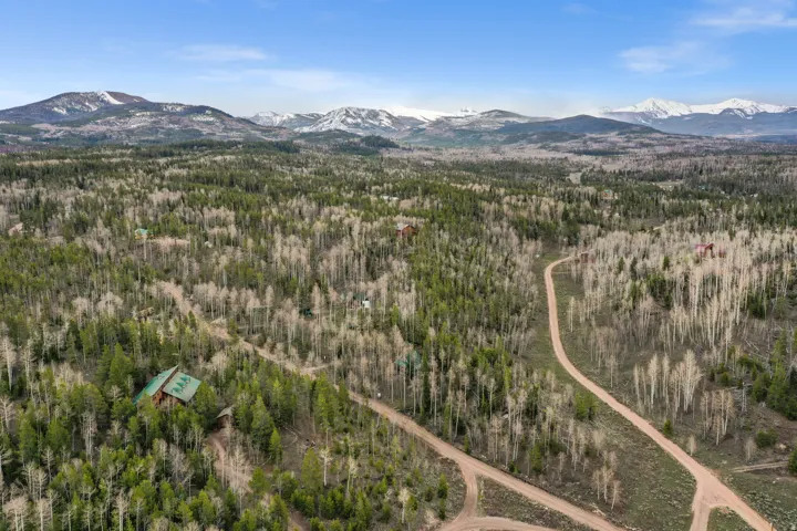 Expansive wooded property featuring a prominent main residence with a green metal roof, surrounded by mature evergreen and deciduous trees, and framed by distant snow-capped mountains