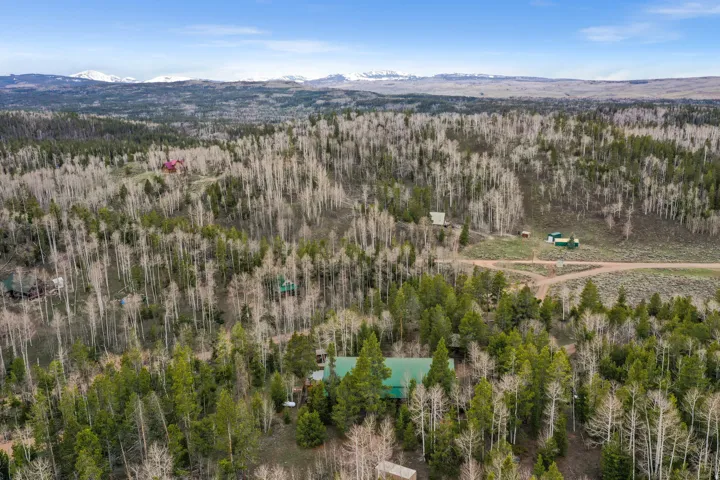 Expansive natural landscape featuring dense evergreen and deciduous trees