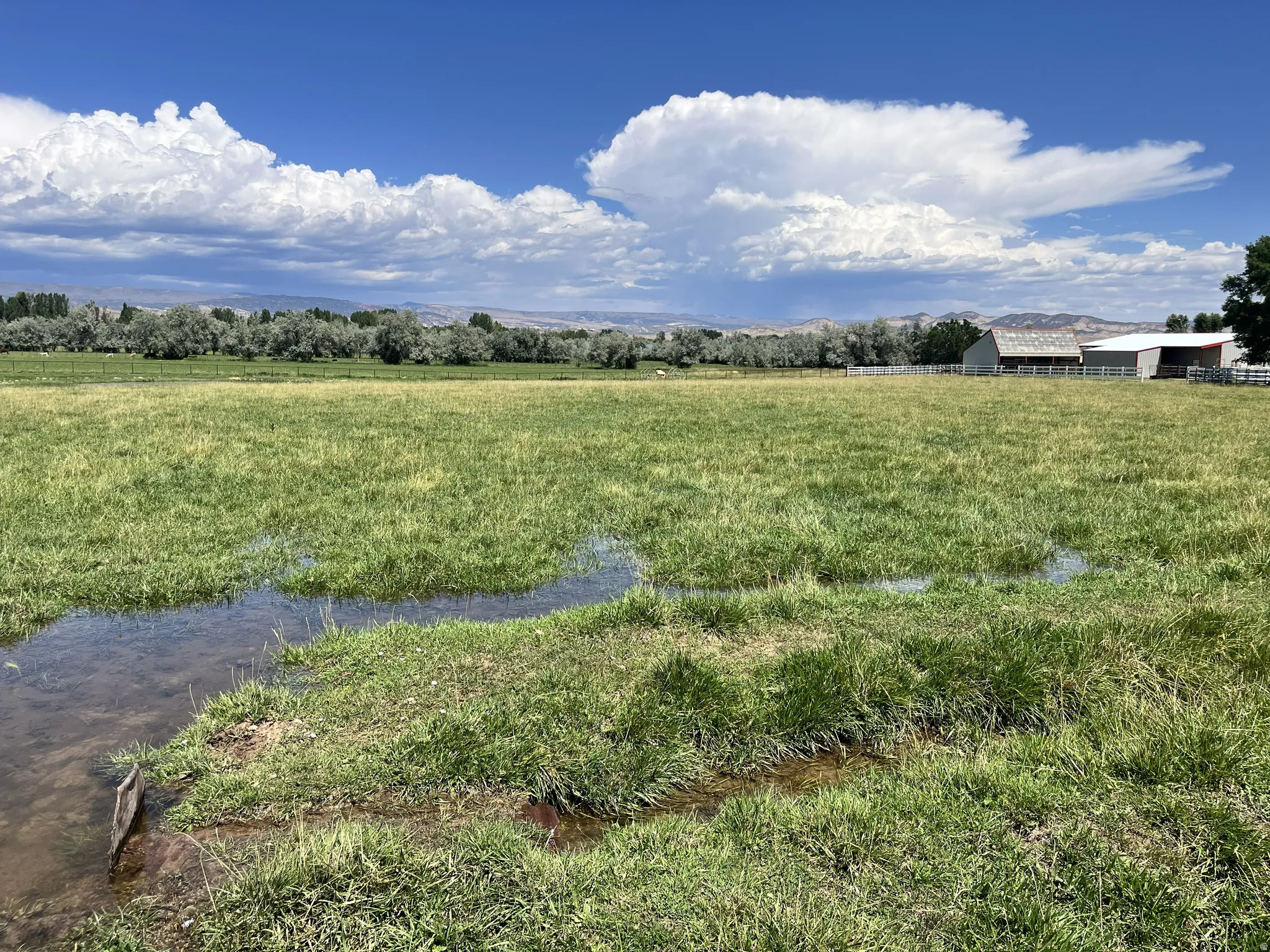 Expansive green pastureland with natural water features, bordered by mature trees and distant mountains under a blue sky with white clouds
