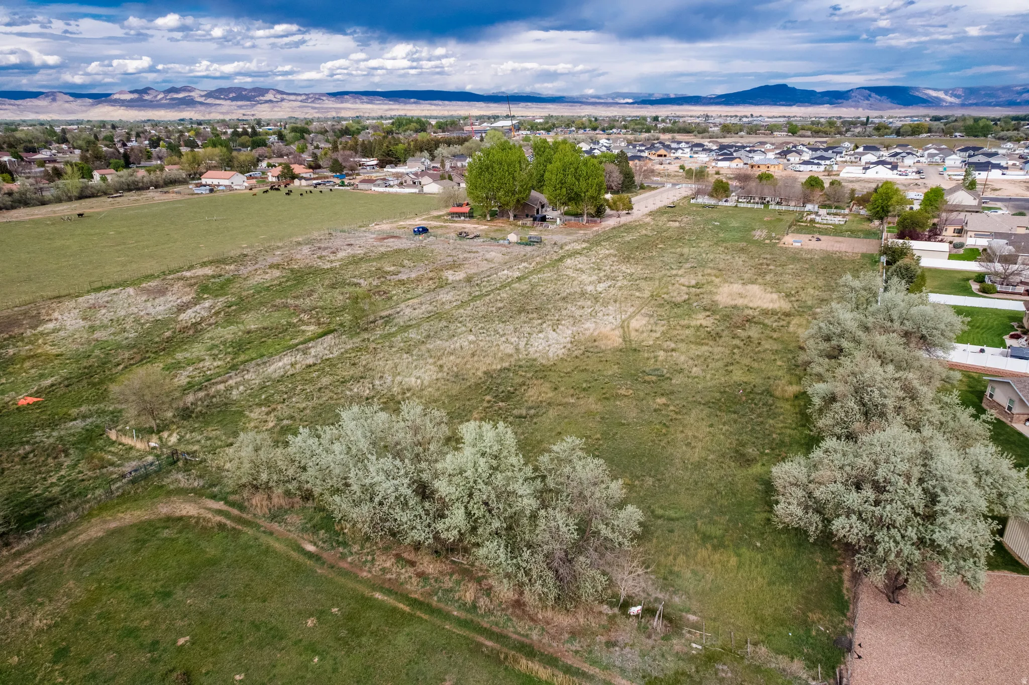 Expansive undeveloped land featuring natural foliage and a dirt track