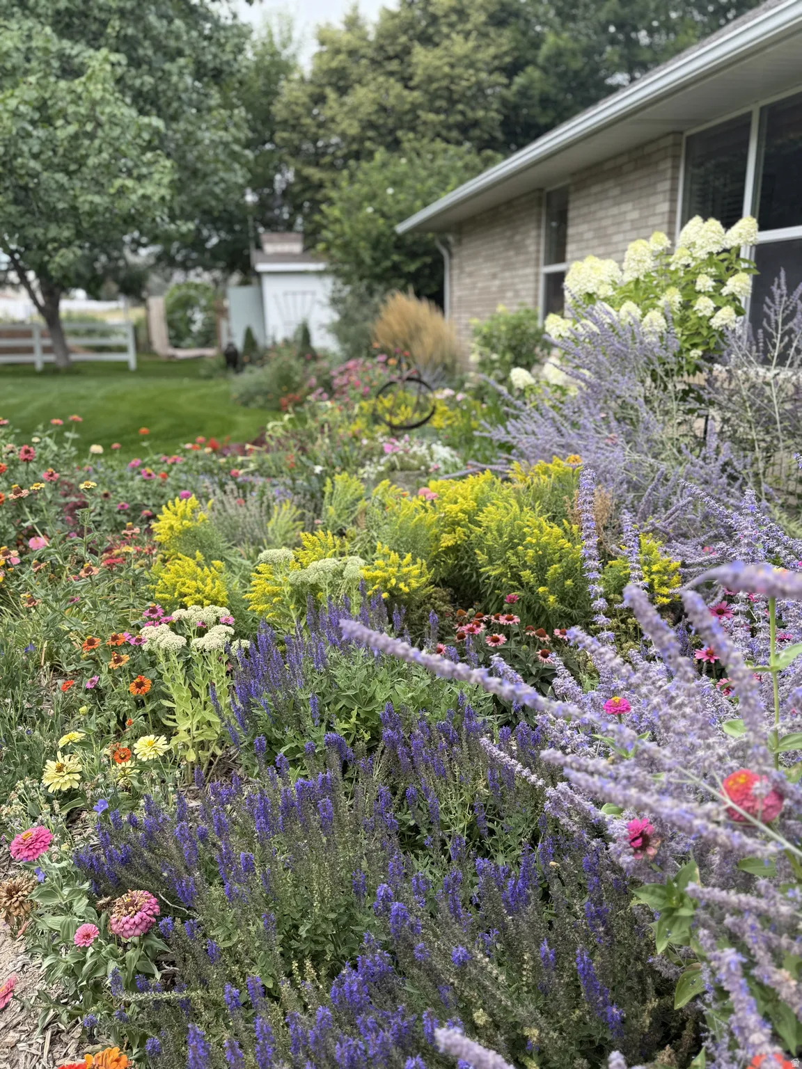 Lush landscaping with diverse plantings, featuring vibrant purple, pink, yellow, and white florals