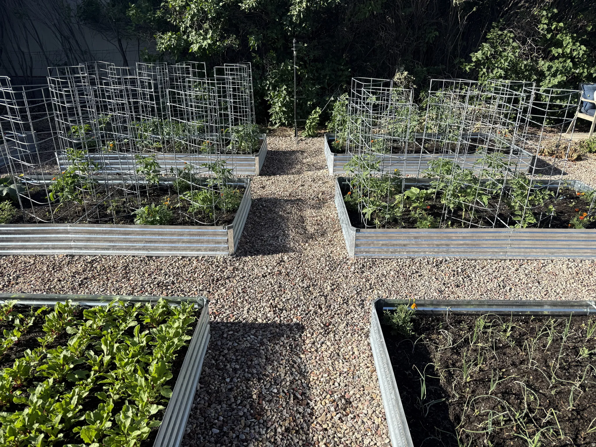 Raised garden beds featuring galvanized corrugated metal construction