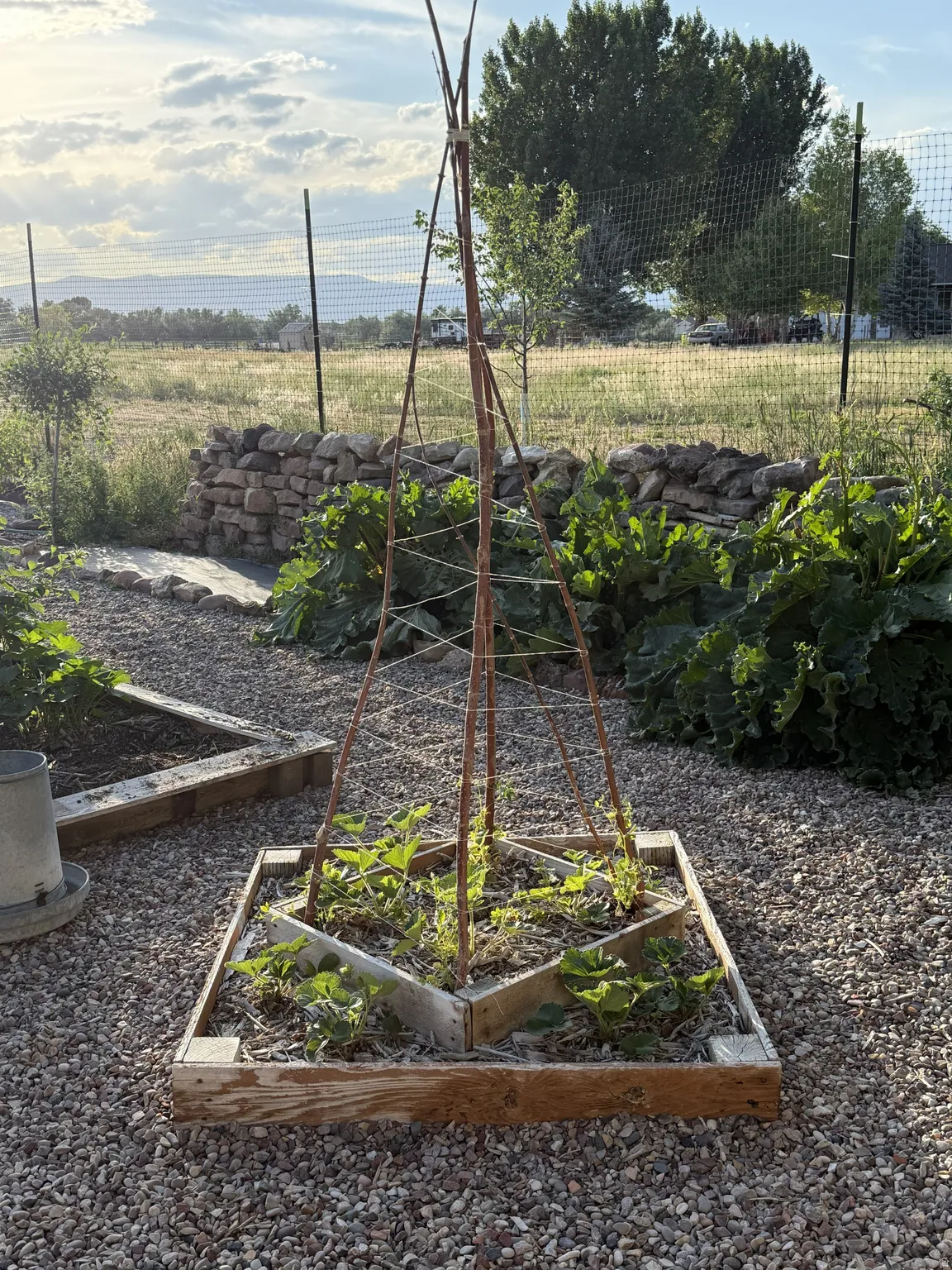 Garden area featuring raised wooden beds, gravel pathways, and a stone retaining wall
