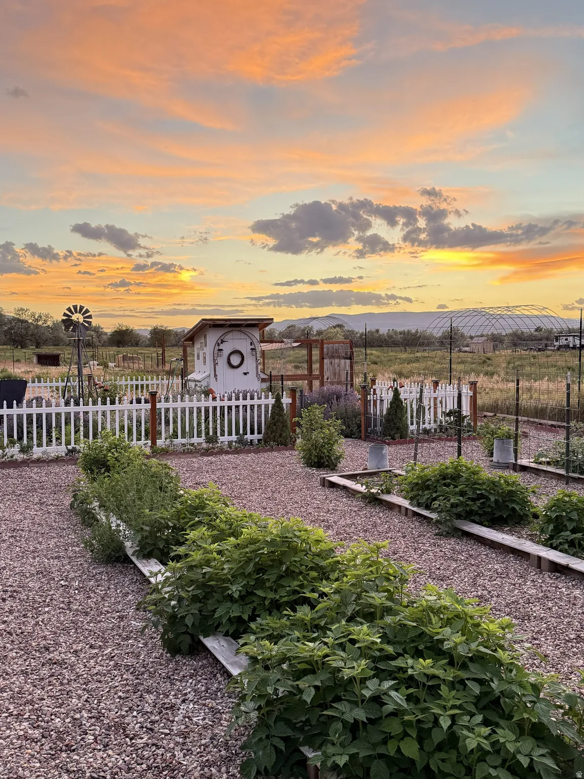 Expansive garden area featuring gravel pathways, raised garden beds, a white picket fence, a decorative windmill, and a charming shed structure