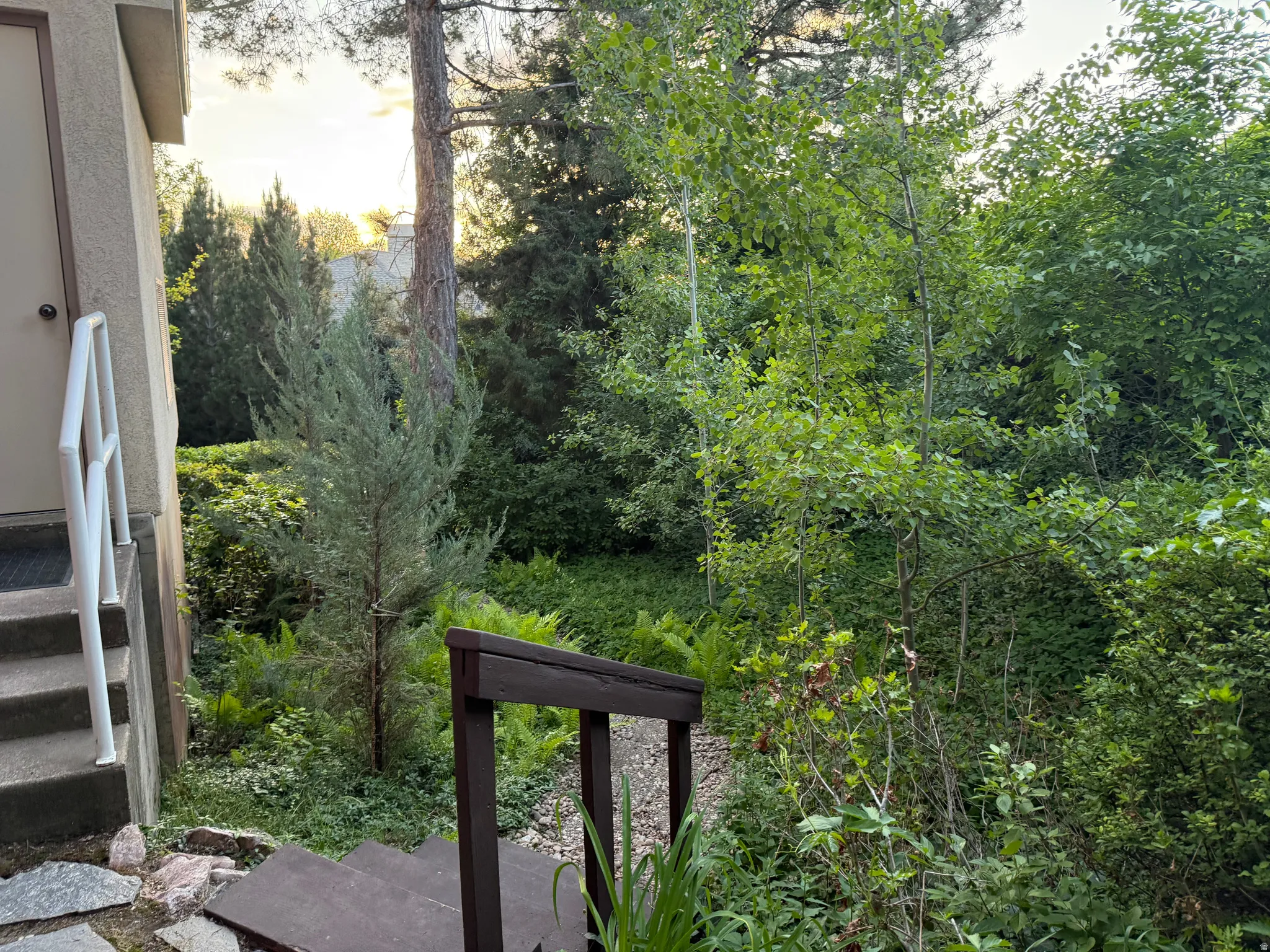 Outdoor Space