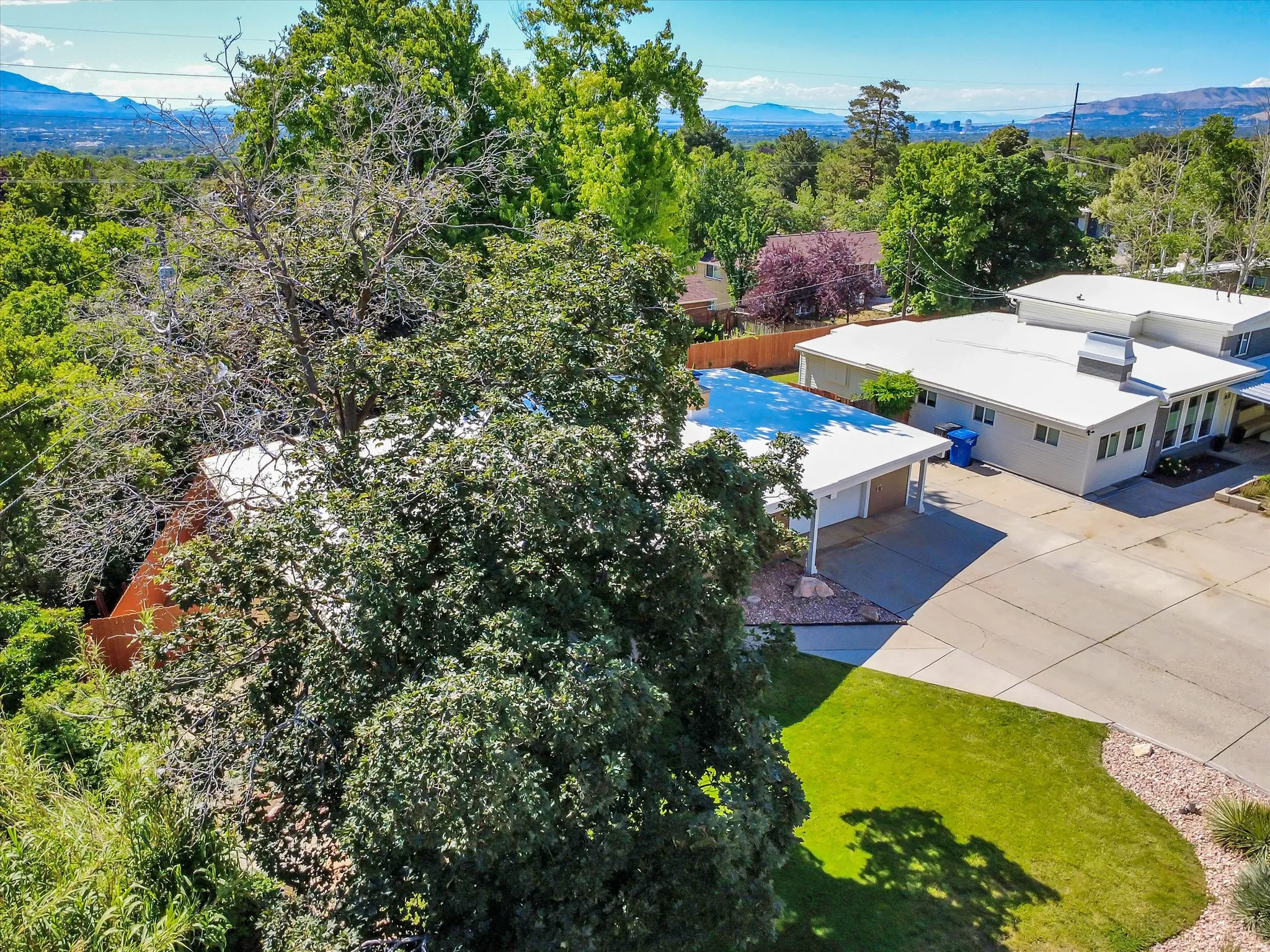 Property featuring a modern architectural style, a large concrete driveway, an attached carport, a green lawn, and mature trees