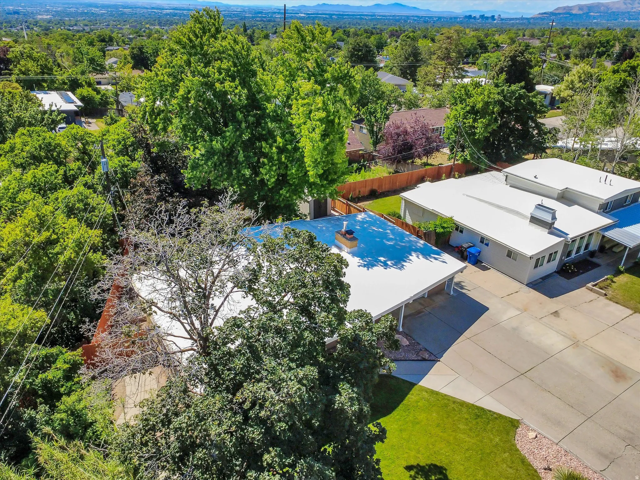 Expansive concrete driveway