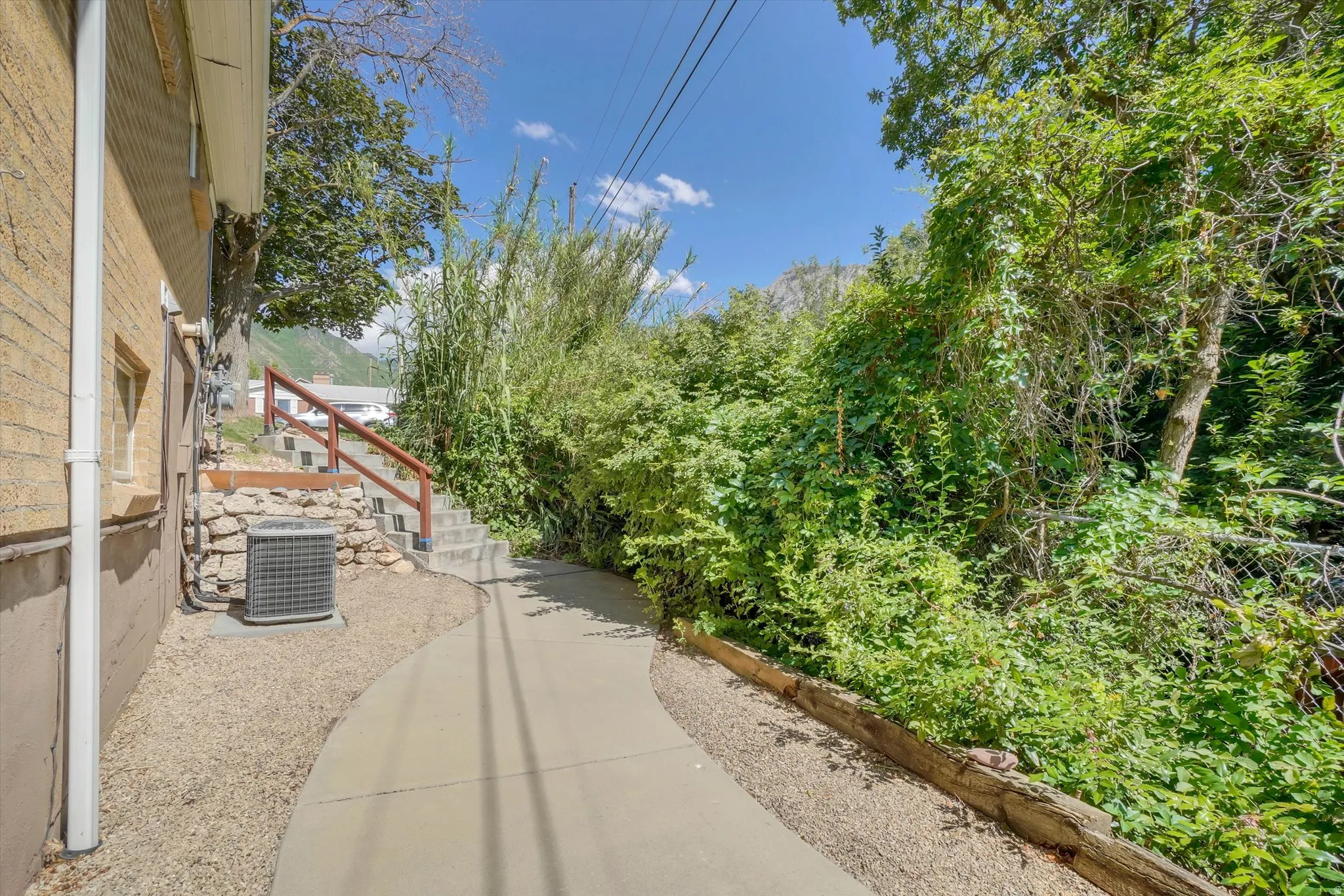 Concrete pathway with gravel border, flanked by abundant natural foliage