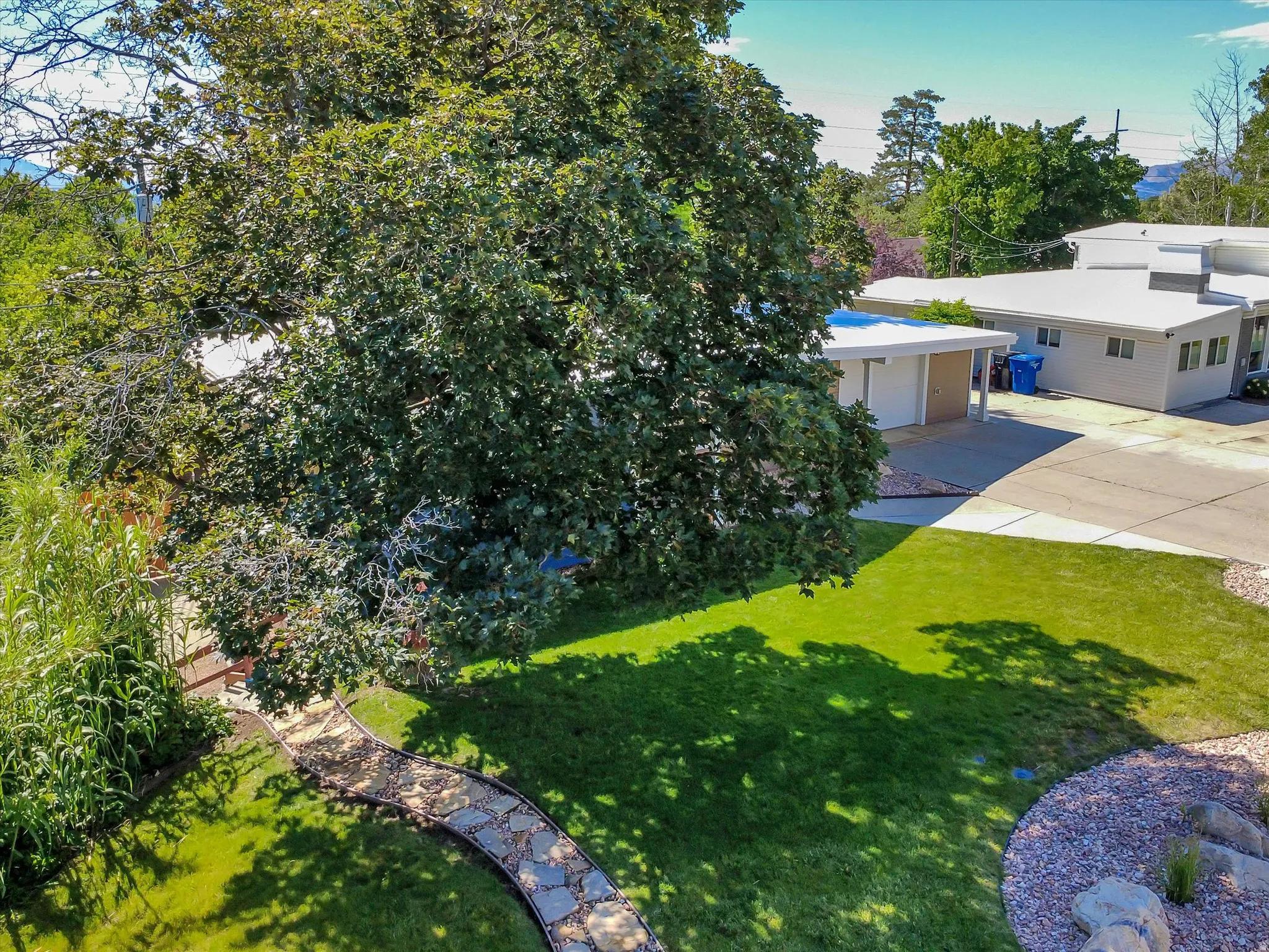 Expansive green lawn featuring a winding stone pathway, large mature tree, and a decorative rock garden